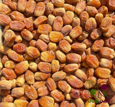 فروش ویژه خرما پیارم صادراتی